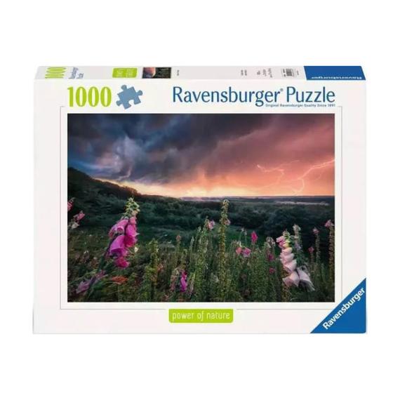 Puzzle 1000 db - Vihar előtt (12262)