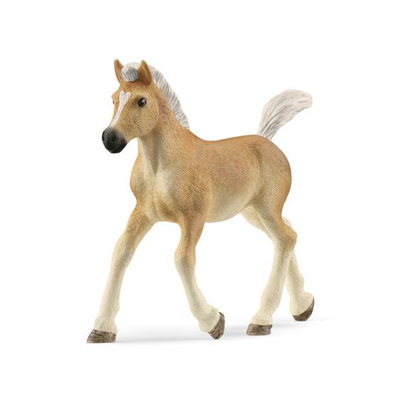 Schleich Halfinger csikó (1095)
