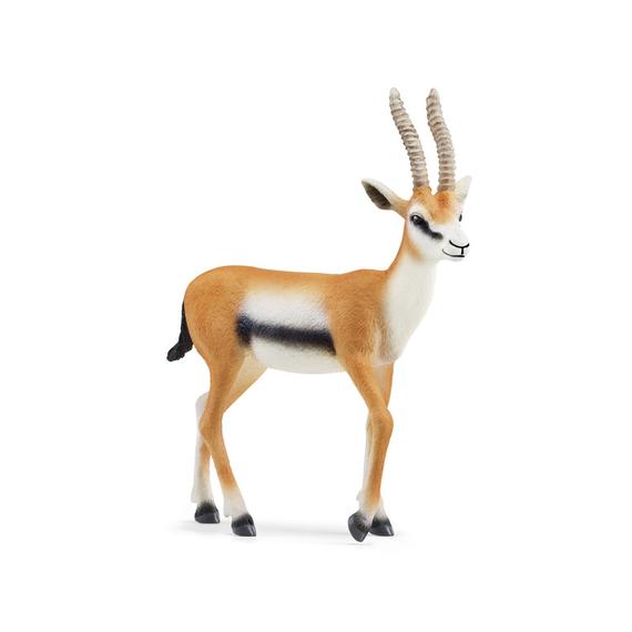 Schleich Thomson gazella (1248)