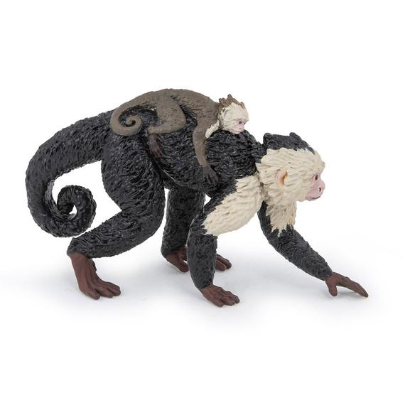 Csuklyásmajom (14855)