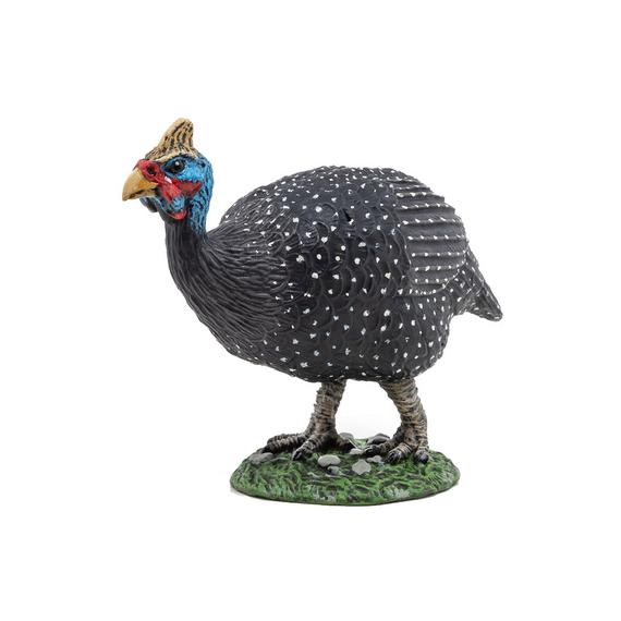 Gyöngytyúk (14856)