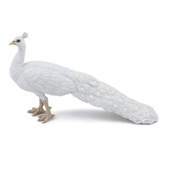 Fehér páva (14857)