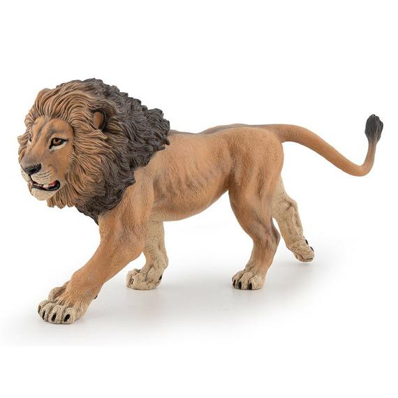 Afrikai oroszlán (2128)