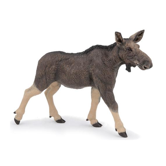 Nőstény jávorszarvas (2140)