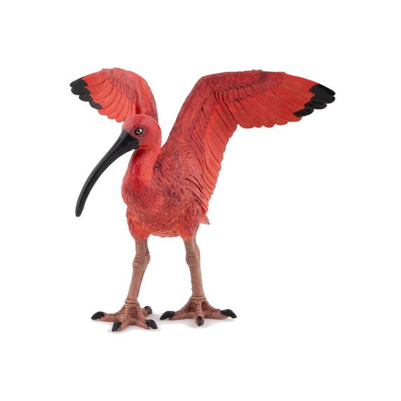 Skarlát ibisz (2150)