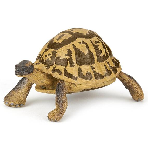 Papo: Hermann teknős (48664)