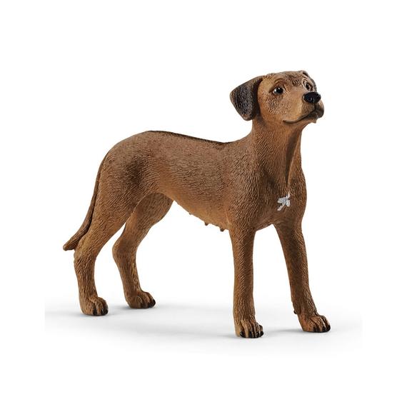 Schleich Afrikai oroszlánkutya (65829)