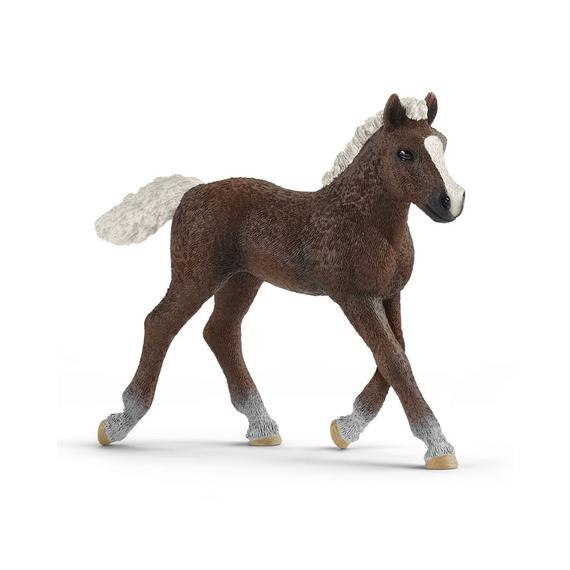 Schleich Schwarzwaldi csikó (65847)