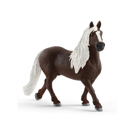 Schleich Schwarzwaldi mén (65848)