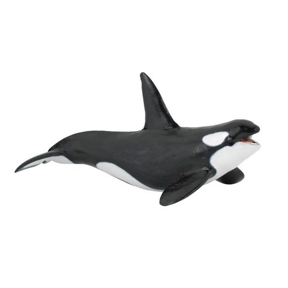 Papo gyilkos bálna 56000 (71949)