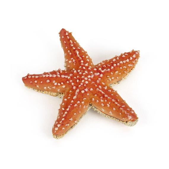 Papo: Tengeri csillag (8398)