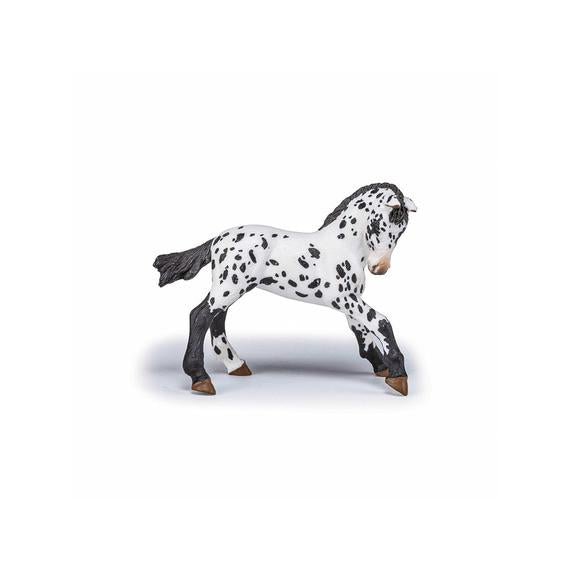 Papo: Fekete appaloosa csikó (85203)