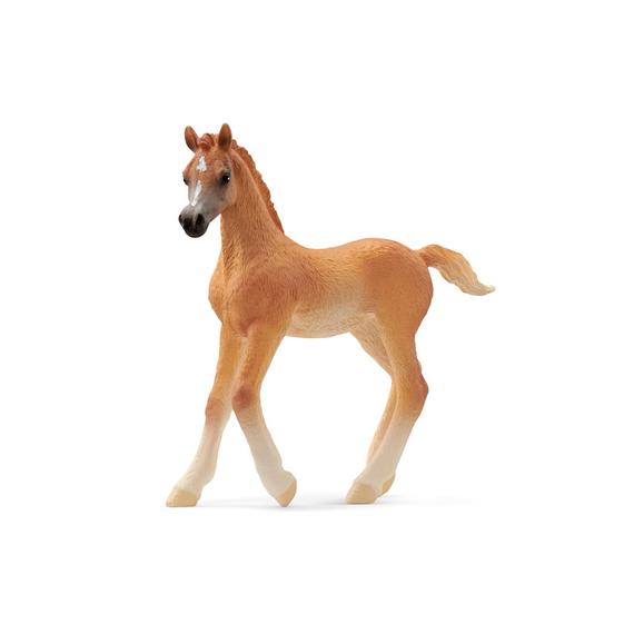 Schleich Arab csikó (8864)
