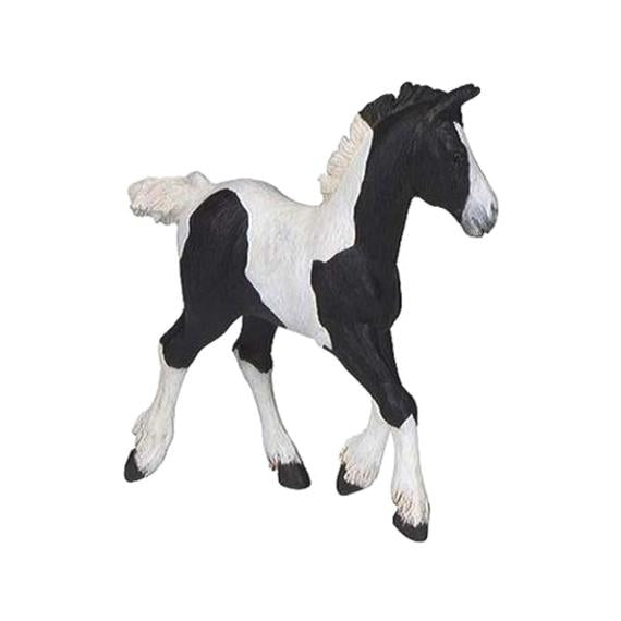 Papo fekete foltos csikó 51508 (97295)